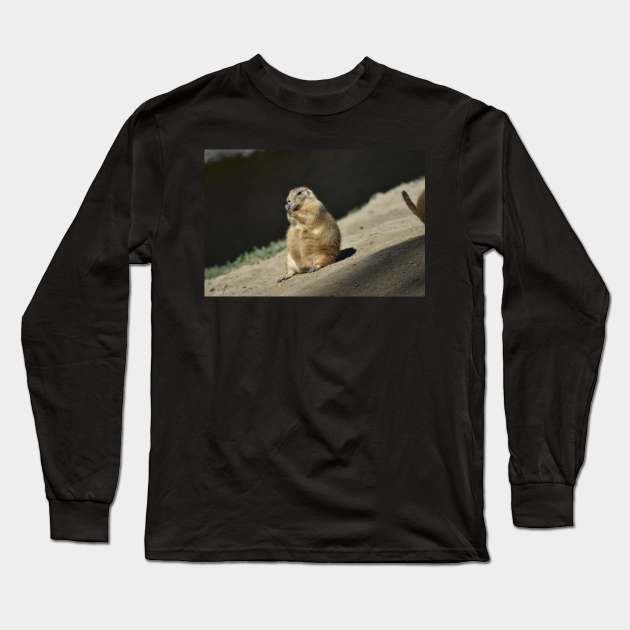 Prairie Dog Long Sleeve T-Shirt by MarieDarcy